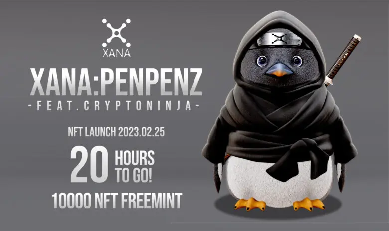 XANA PENPENZの広告