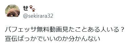 バフェッサに対する悪い口コミや評判の2つ目