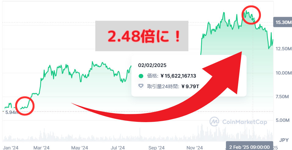 ビットコイン10万円チャレンジを一年間続けた結果